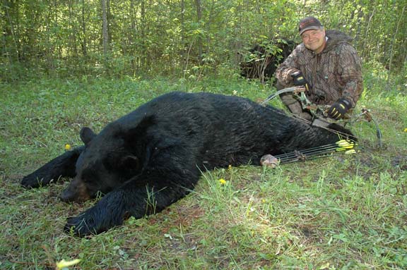Cecil's 20 13/16" bear
