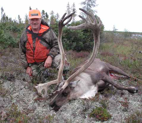 Gerry's Caribou